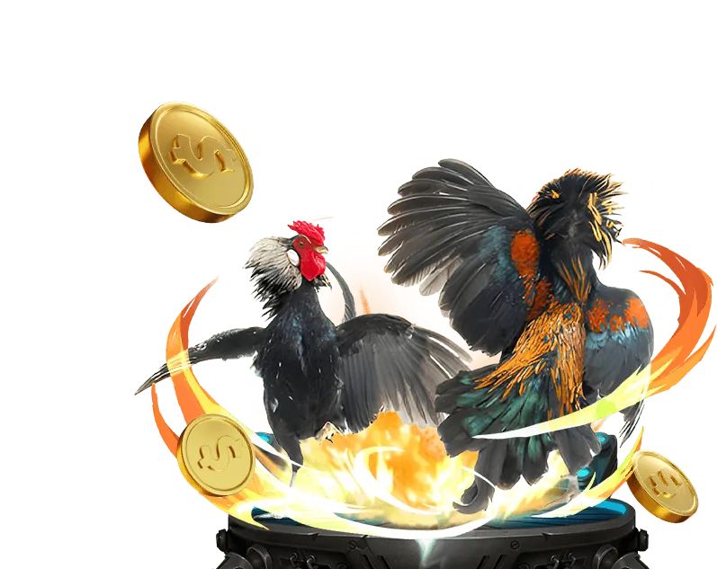 Kèo cược BDD tại 55my win