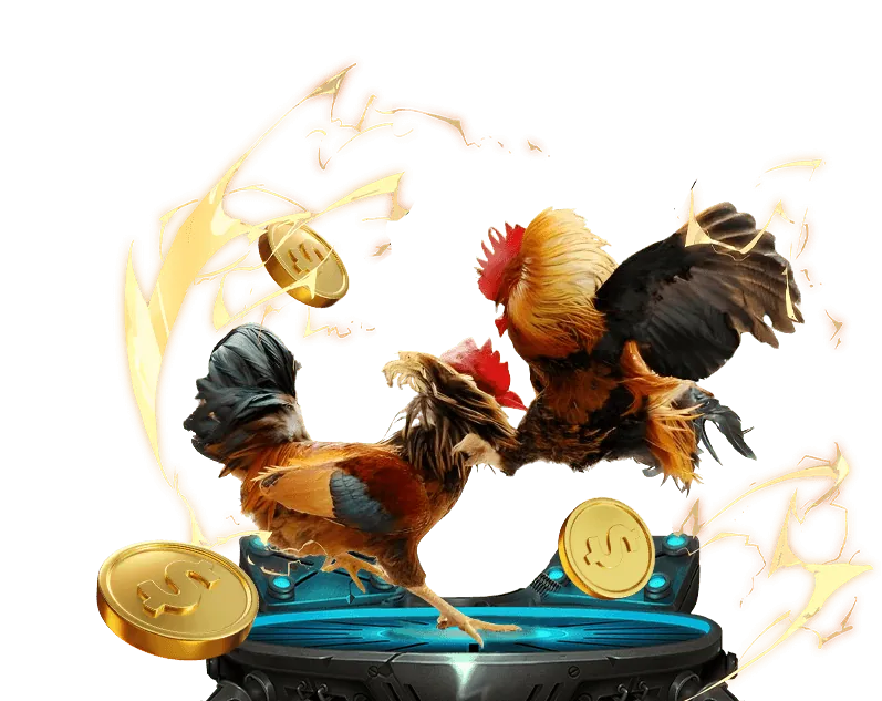 Kèo cược Wala tại 55my win